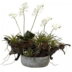 Nearly Natural Orchid and Succulent Garden with Driftwood and Decorative Vase TXN3891